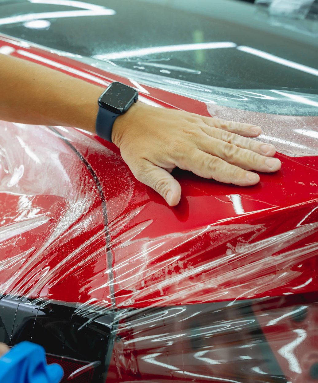 paint protection film applied to vehicle hood and fenders